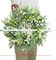 Spring Wreath for Front Door, 19-20 Inch Eucalyptus Greenery Wreath